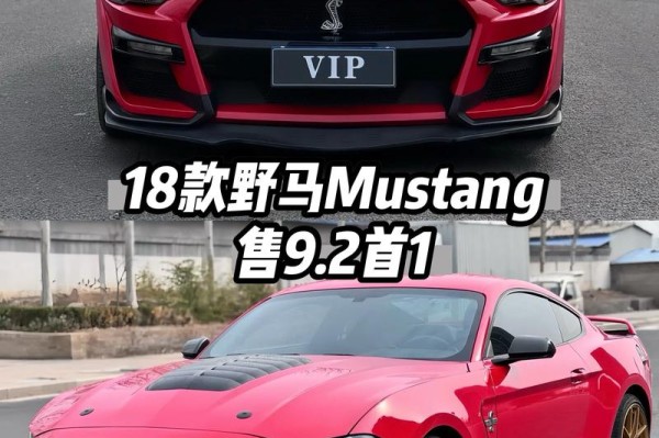 18款加版福特野马2.3T时尚的功能性配置津港新款上市畅快享受
