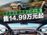 星途凌云曜夜版正式上市 售价14.99万元起